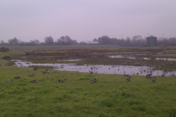 Upcoming works on the reserve